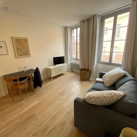 Apartament Le Garonne - Bright Close To The Capitole